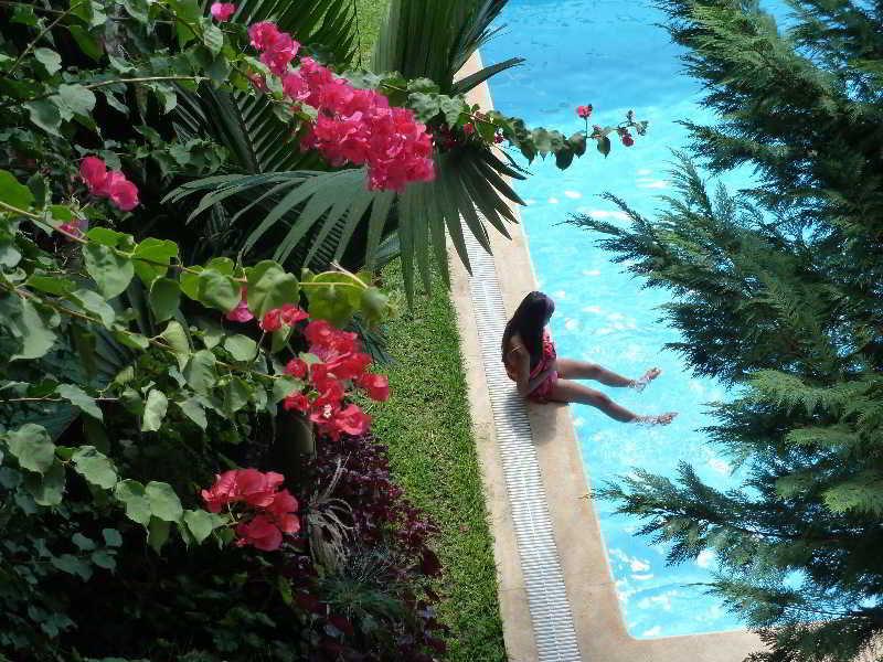 Casa Do Papagaio Verde Otel Funchal Dış mekan fotoğraf