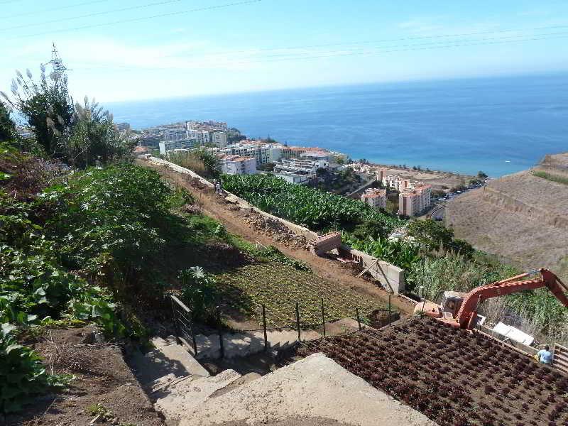 Casa Do Papagaio Verde Otel Funchal Dış mekan fotoğraf