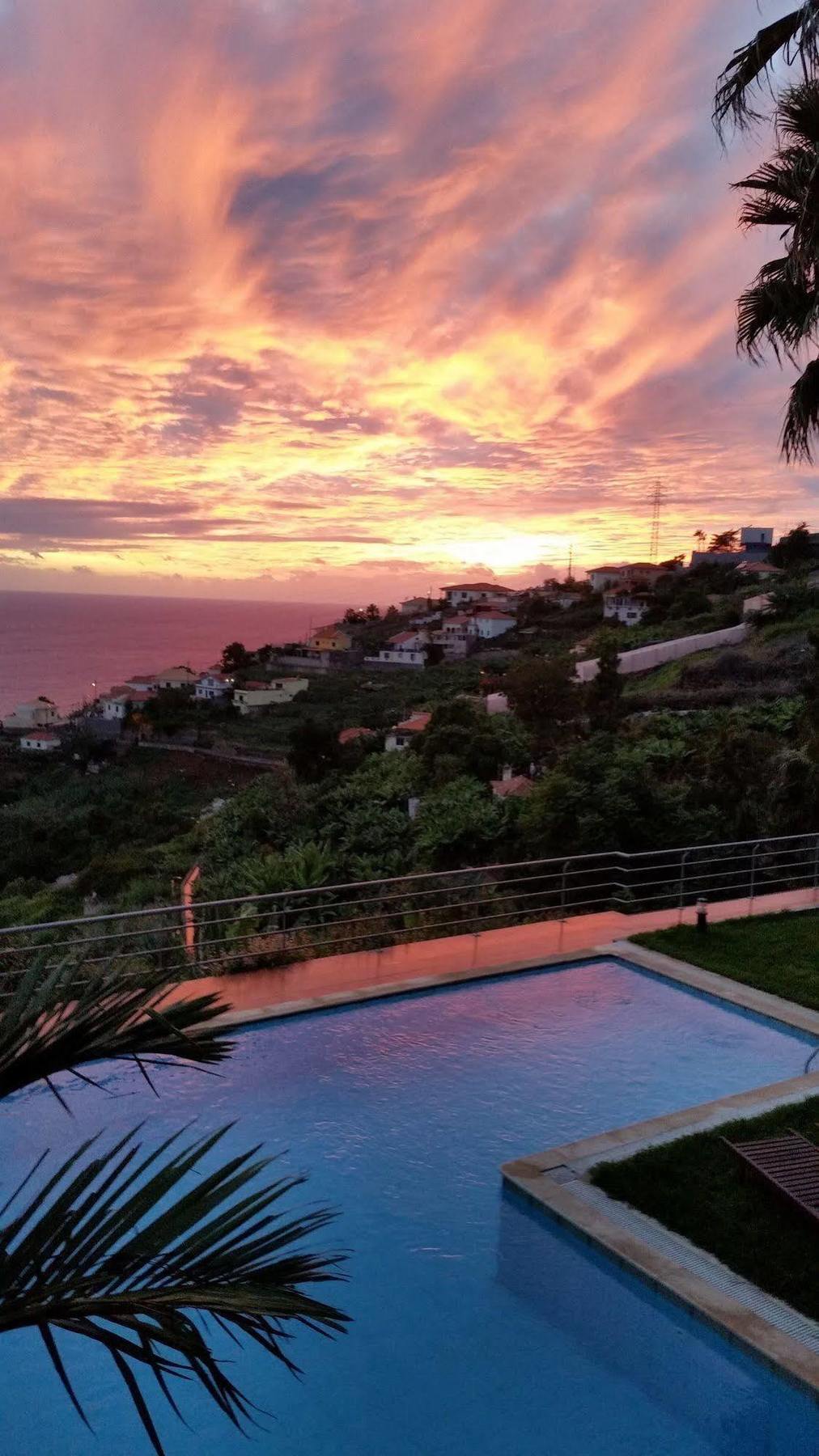 Casa Do Papagaio Verde Otel Funchal Dış mekan fotoğraf